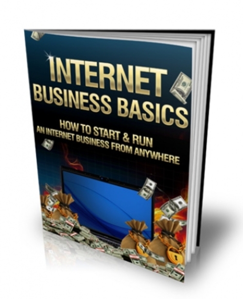 Product picture Internet Business Basics - Ebooksnz